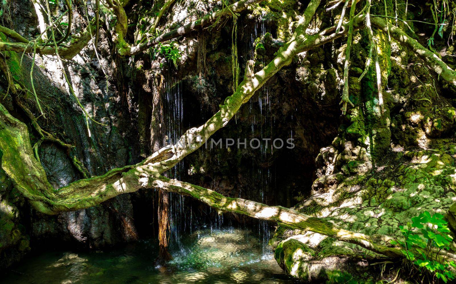 Water jets in the Baths of Aphrodite waterfall on the island of Cyprus.