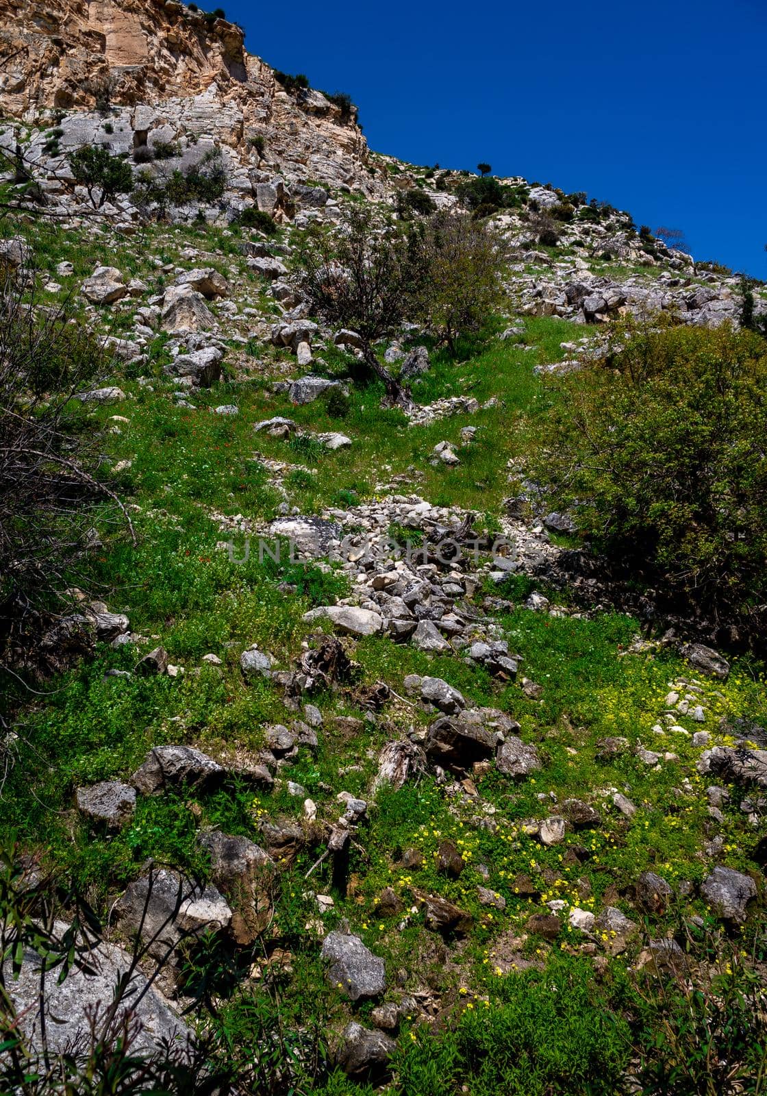 Stones on the slopes of the Avakas mountain gorge on the island of Cyprus.