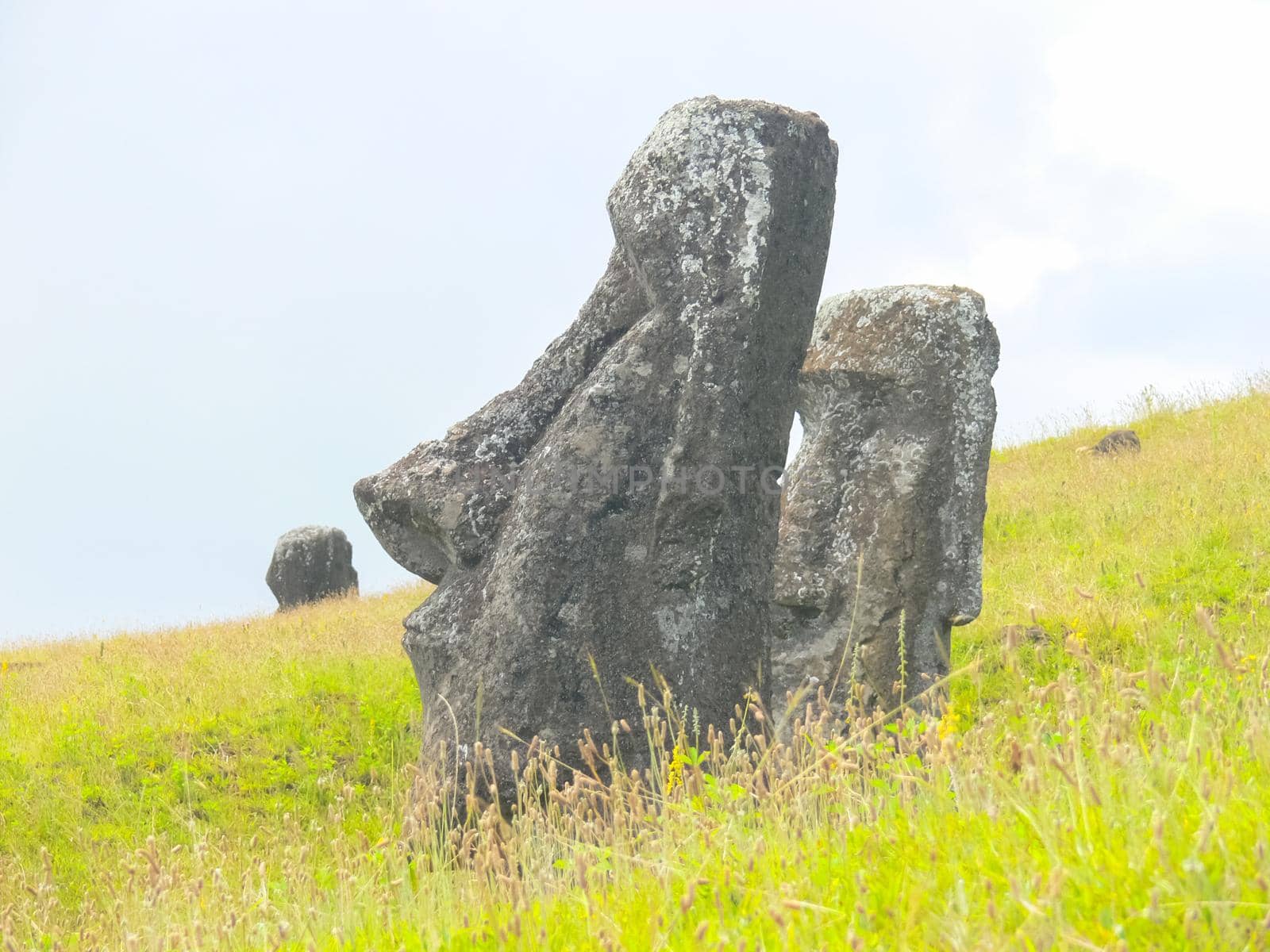 Statues of the gods of Easter Island. Ancient statues of ancient civilization on Easter Island.