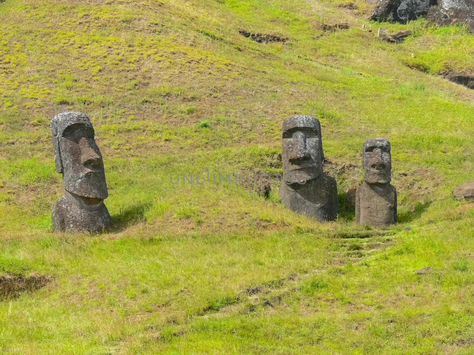 Statues of the gods of Easter Island. Ancient statues of ancient civilization on Easter Island.