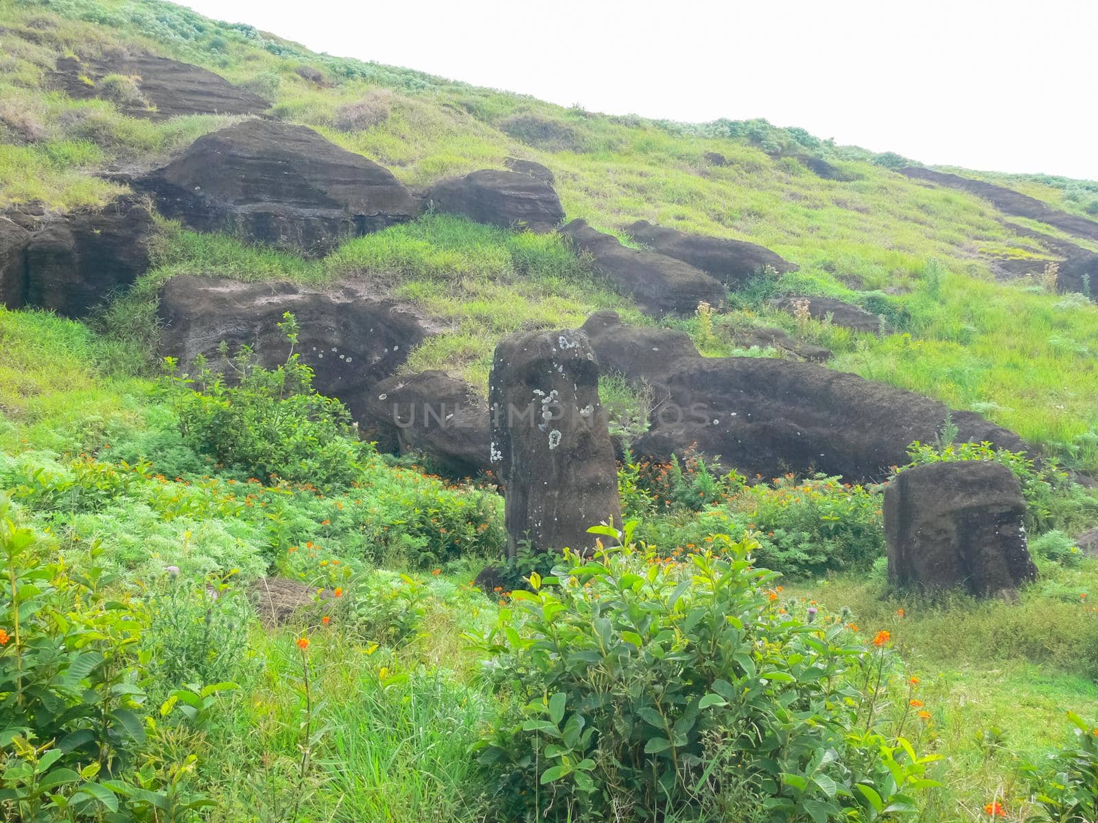 Statues of gods of Easter Island by DePo