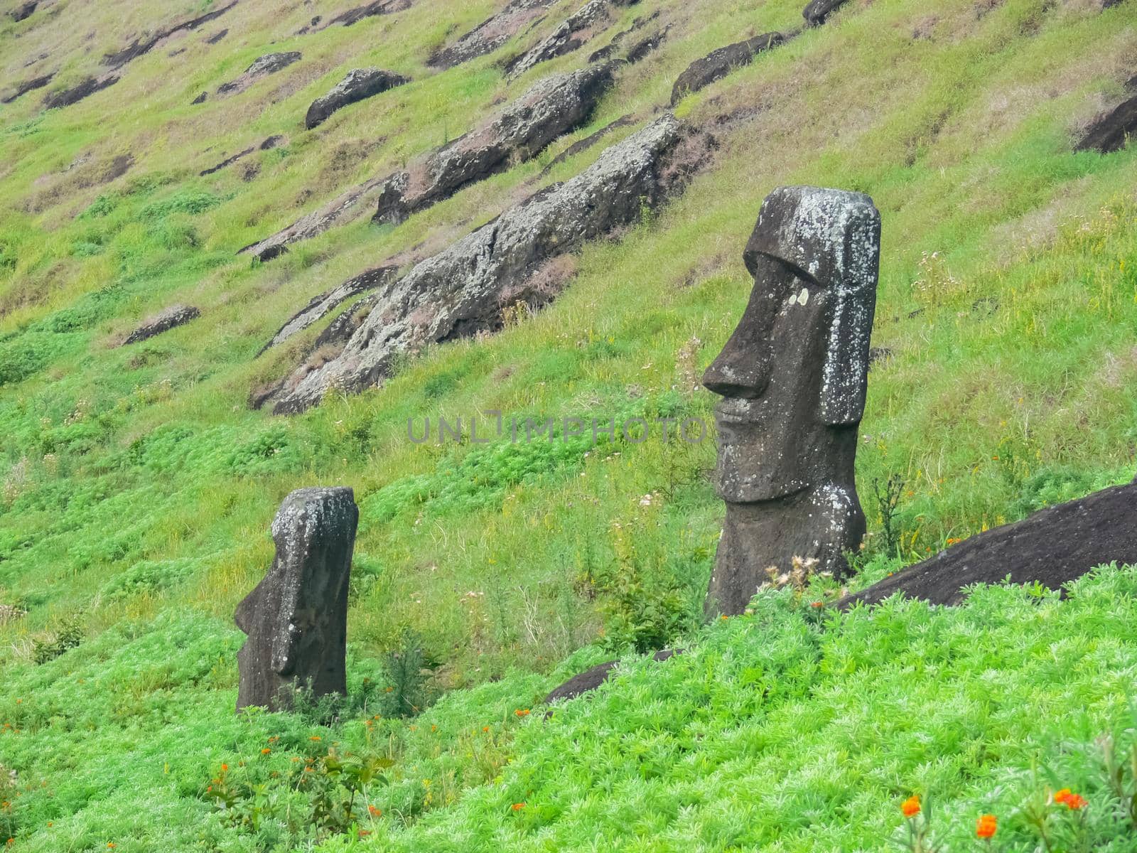 Statues of the gods of Easter Island. Ancient statues of ancient civilization on Easter Island.