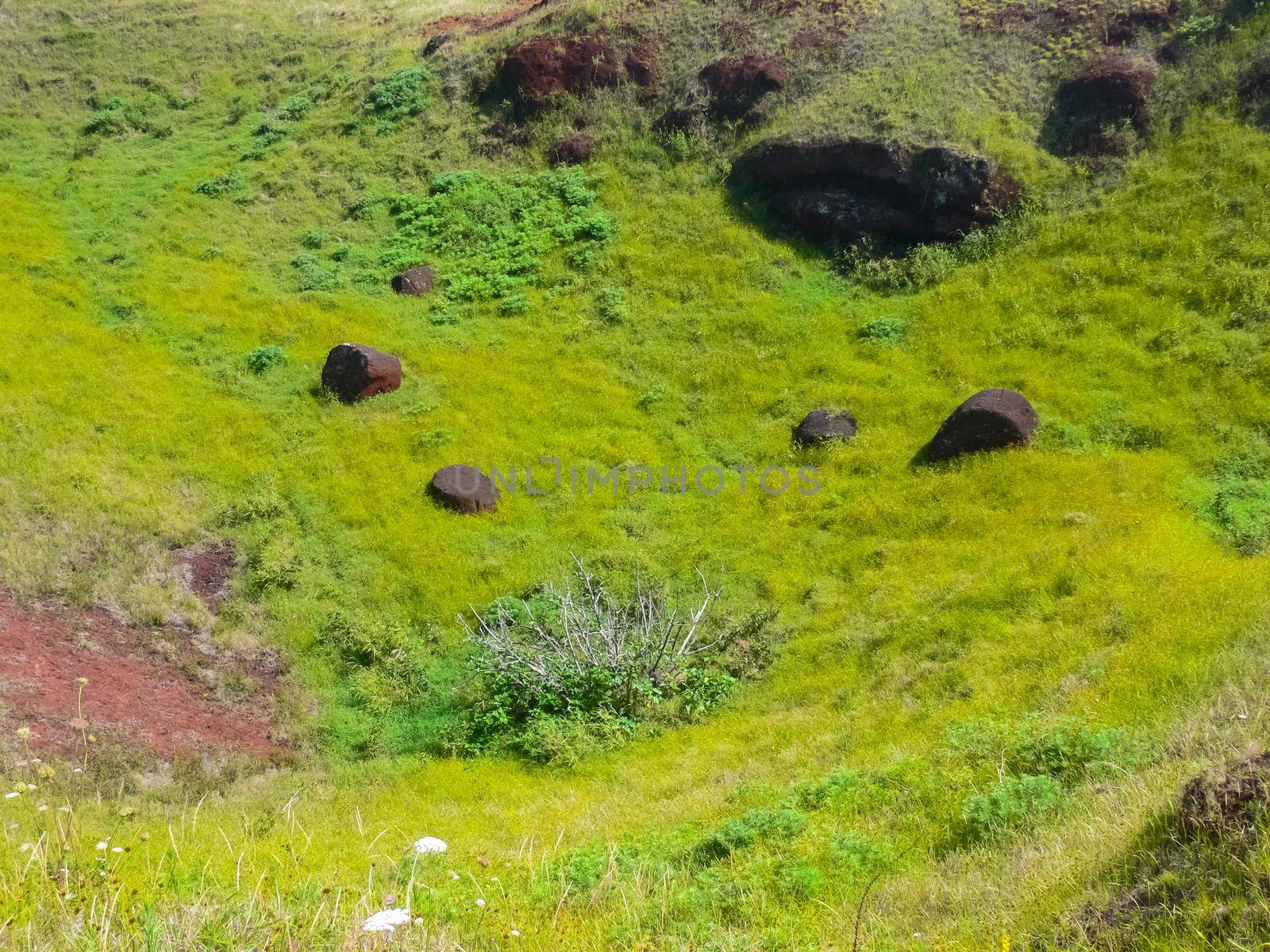 Tachyllite tuff stones, material from which the statues of Easter Island were made. by DePo