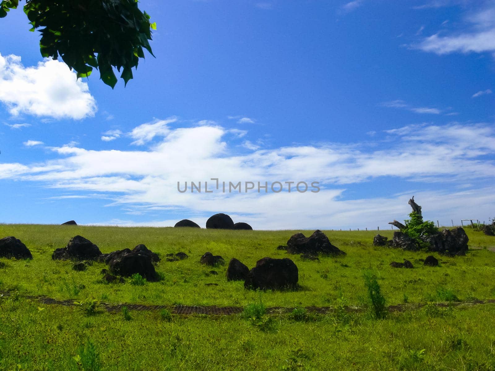 Tachyllite tuff stones, the material from which the statues of Easter Island were made.