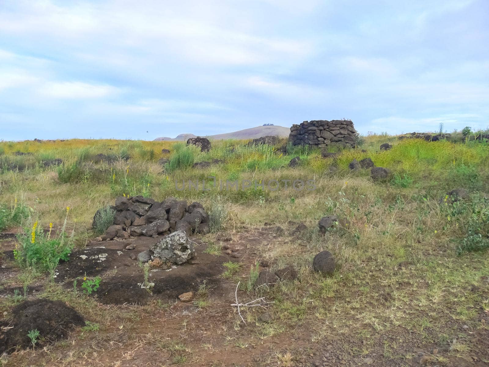 Tachyllite tuff stones, the material from which the statues of Easter Island were made.