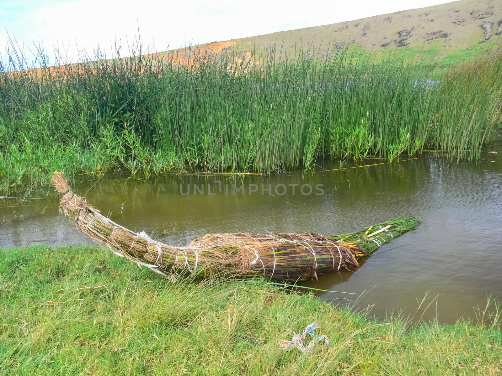 A raft made of reeds. river bed. by DePo