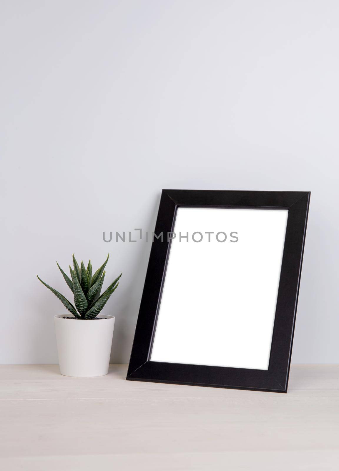 Mockup frame and plants in pot on table top at home, mock up poster for presentation on desk, indoor, your design for gallery photo and picture, border template and decoration for advertising.