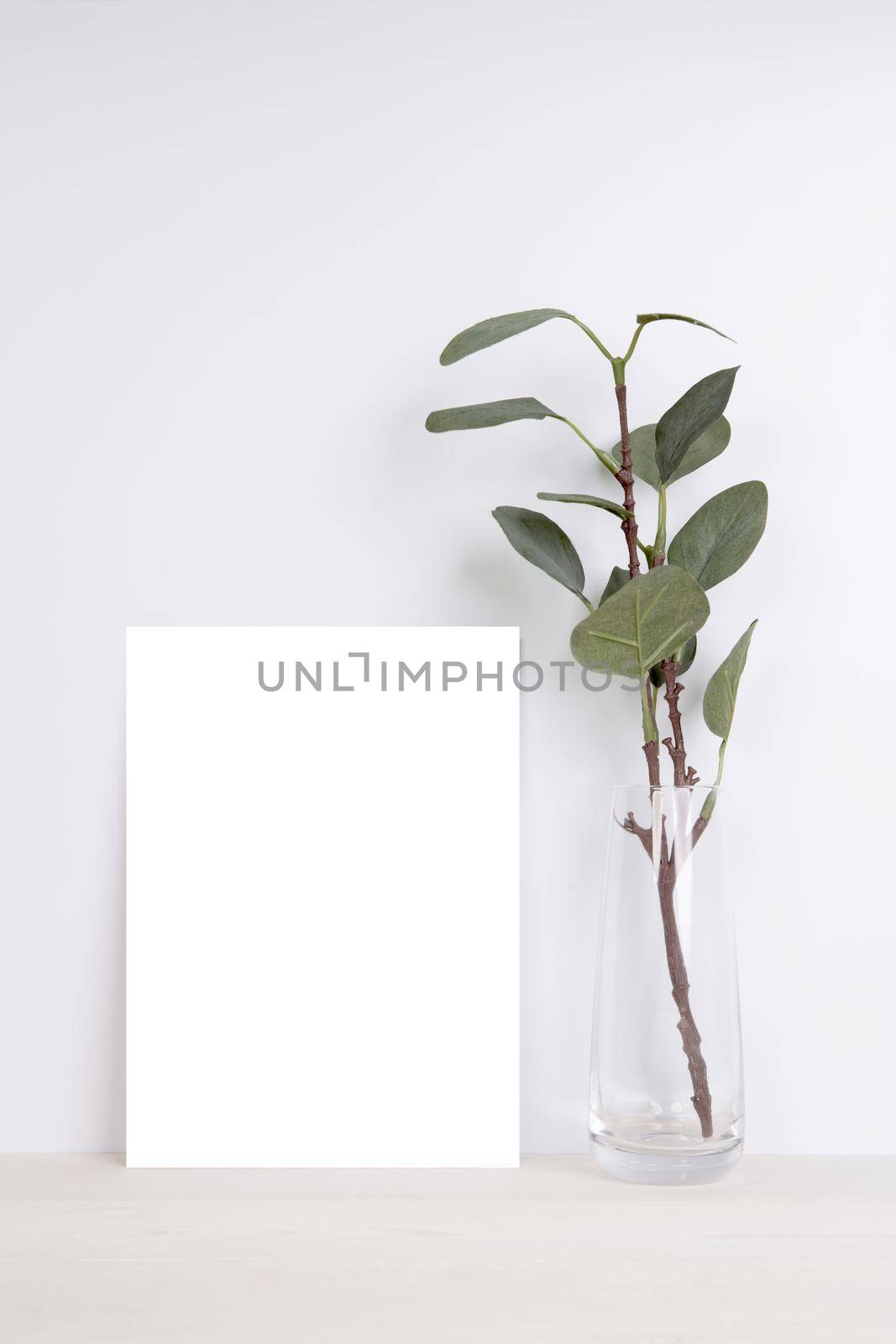 Blank paper sheet copy space with mockup and tree in bottle glass on wooden table, poster and invitation with empty on desk, card decoration your design or branding, simplicity and minimal, nobody. by nnudoo
