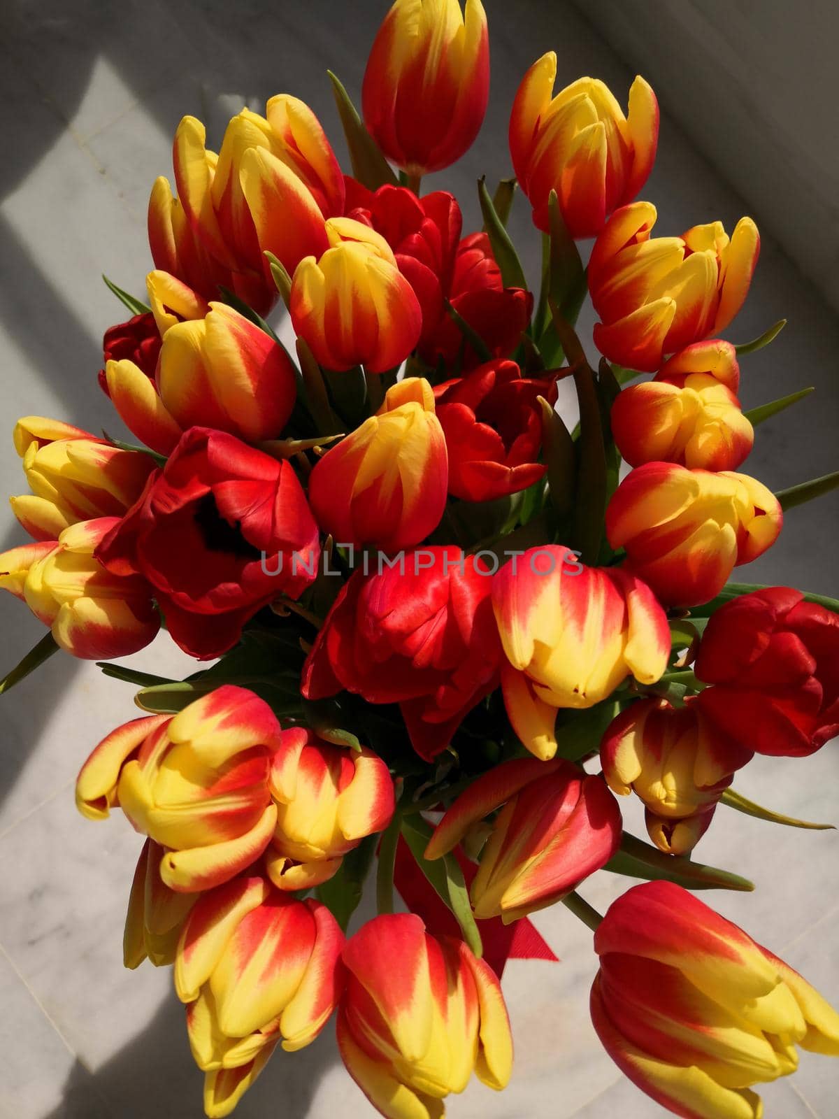 Big bouquet of red and yellow tulips. Spring tulips, big bunch by Bezdnatm