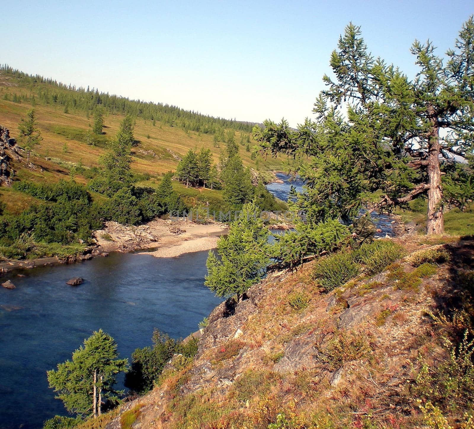 River in taiga in northern Russia. The nature of the taiga in a mountainous area. by DePo