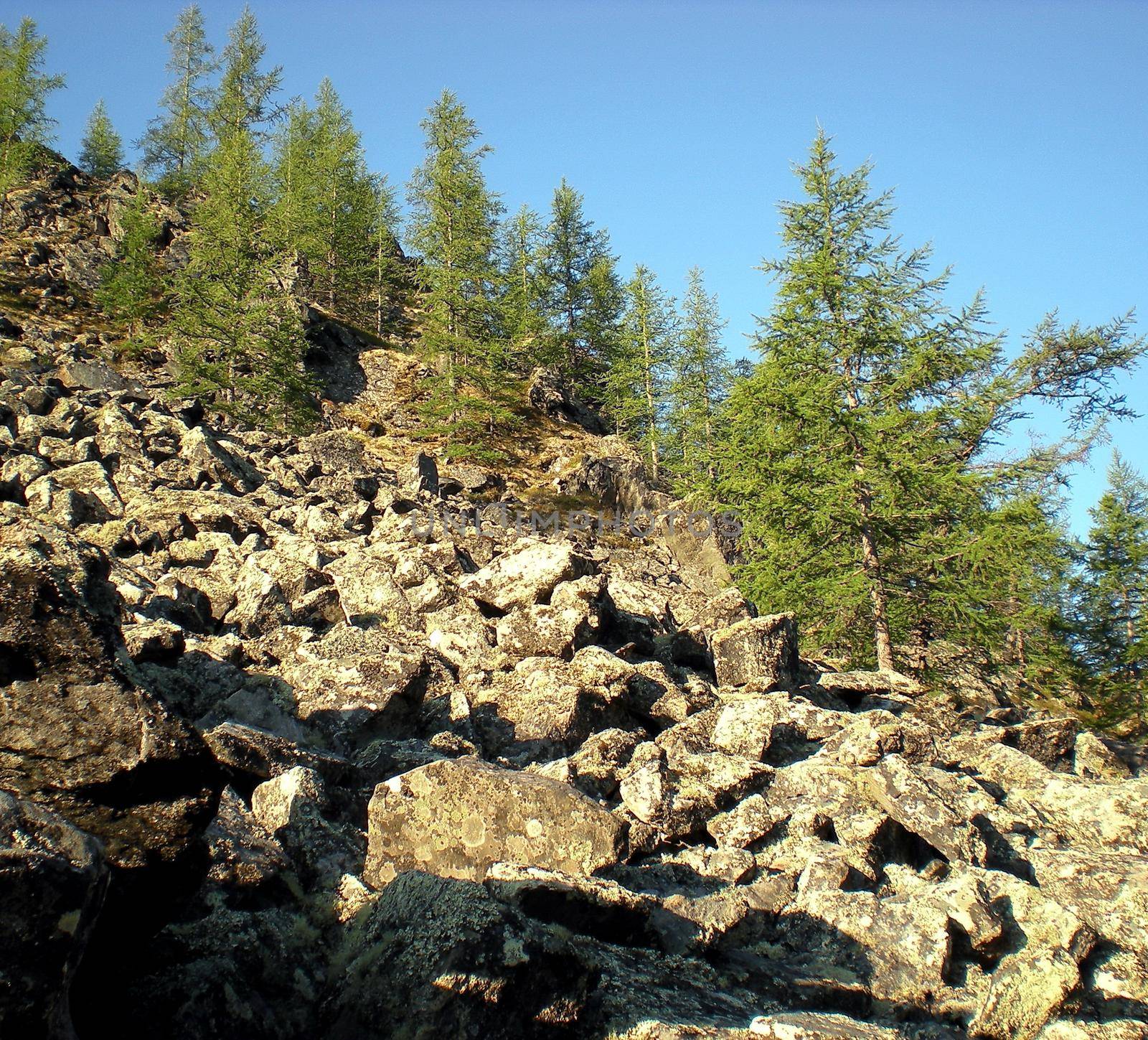 Rocks in the taiga in Russian north. Exit to the surface of granites and basalts. by DePo