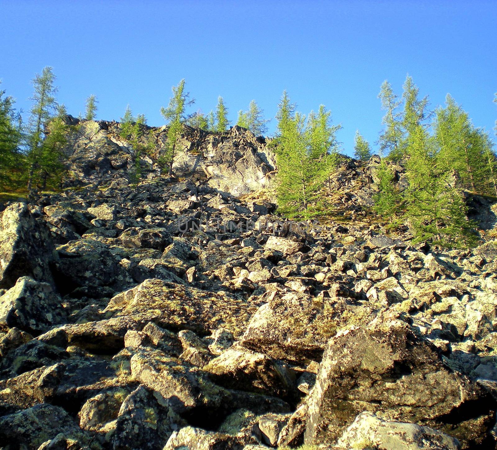 Rocks in the taiga in the Russian north. Exit to the surface of granites and basalts.