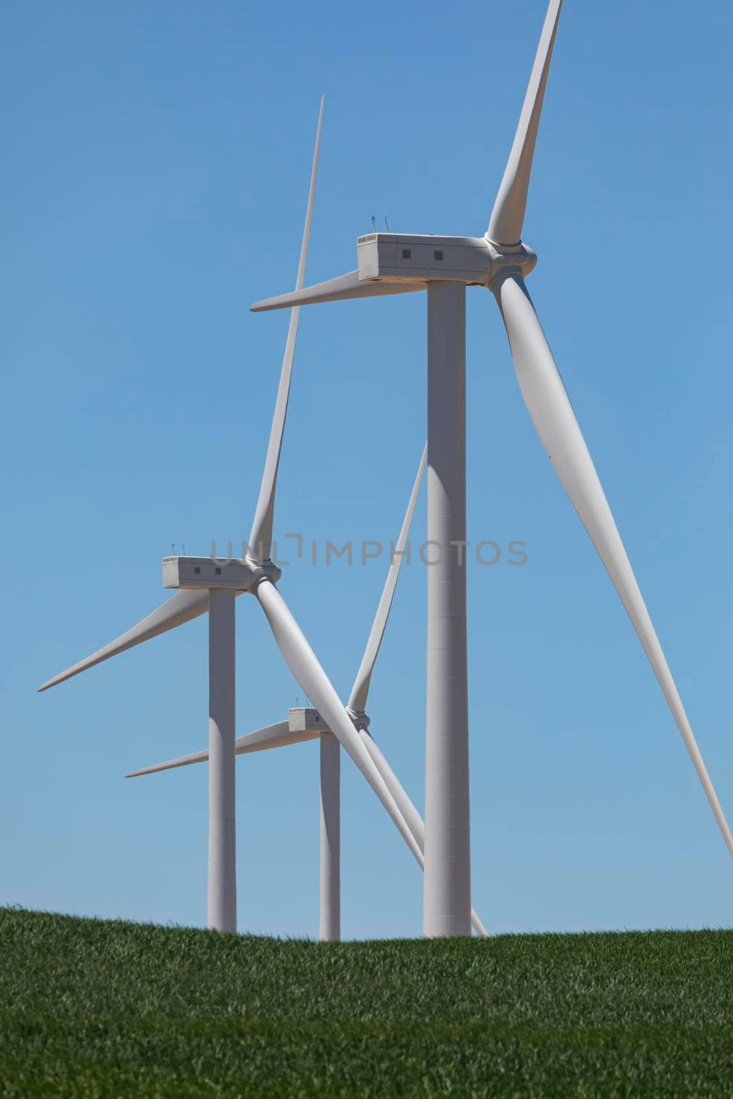 New wind turbines, recently installed in north of Spain, rotate with the wind over the corn fields, community of Aragon.
