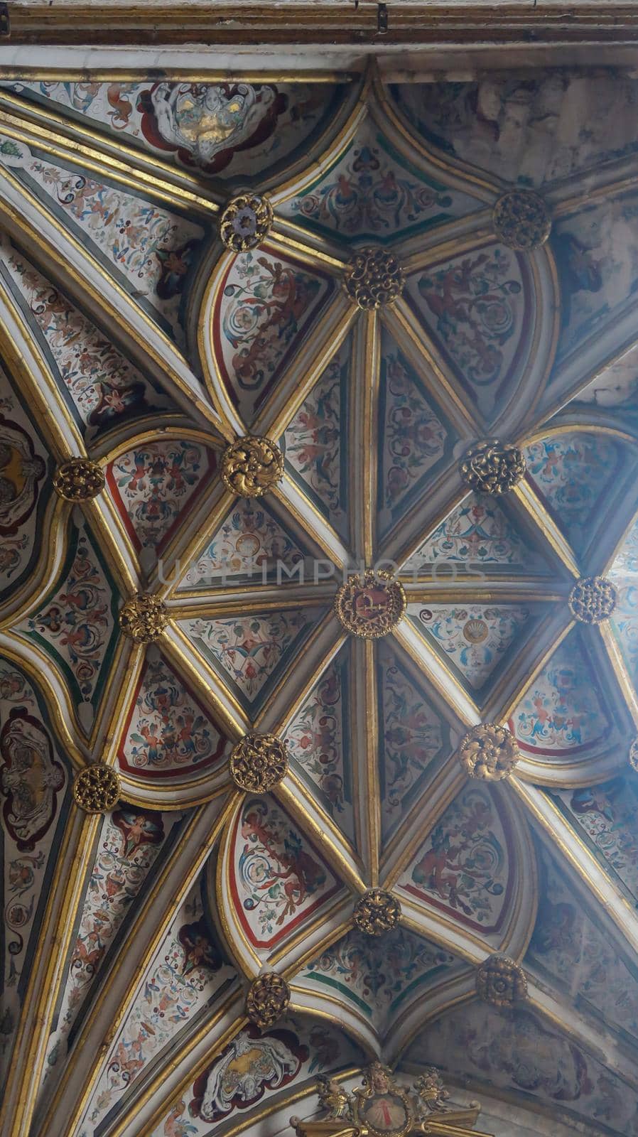 Ancient architecture ceiling of Cathedral of Segovia interior view in Spain by codrinn