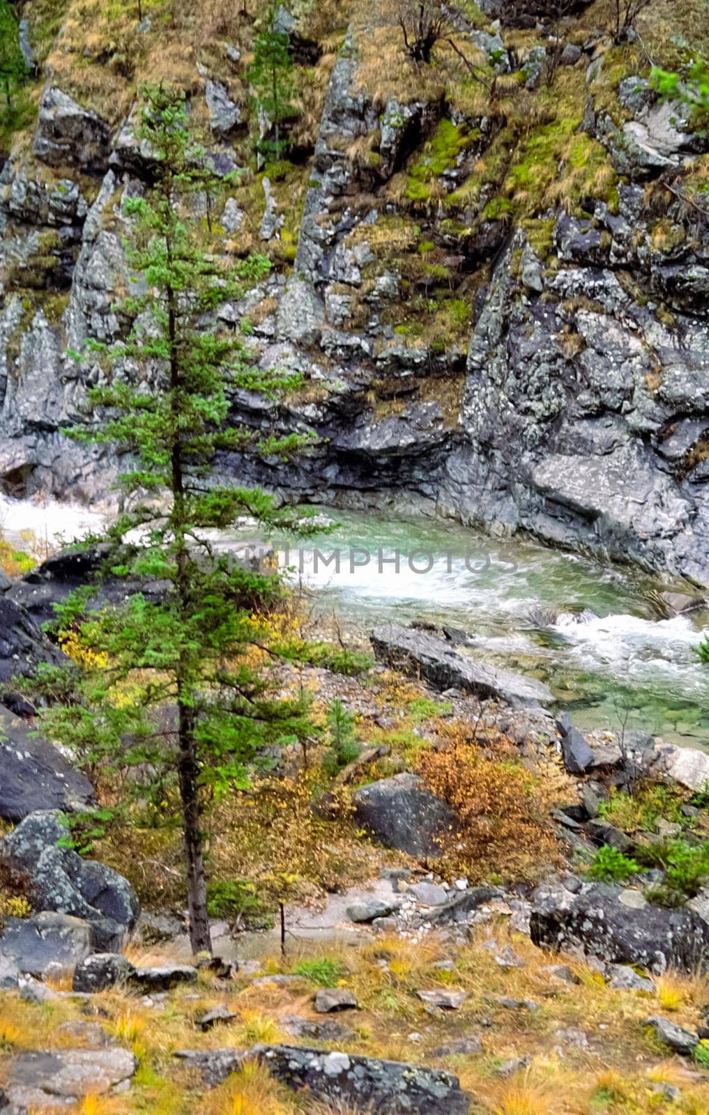 Mountain river. Stones and water of mountain river. The mountains are said. by DePo