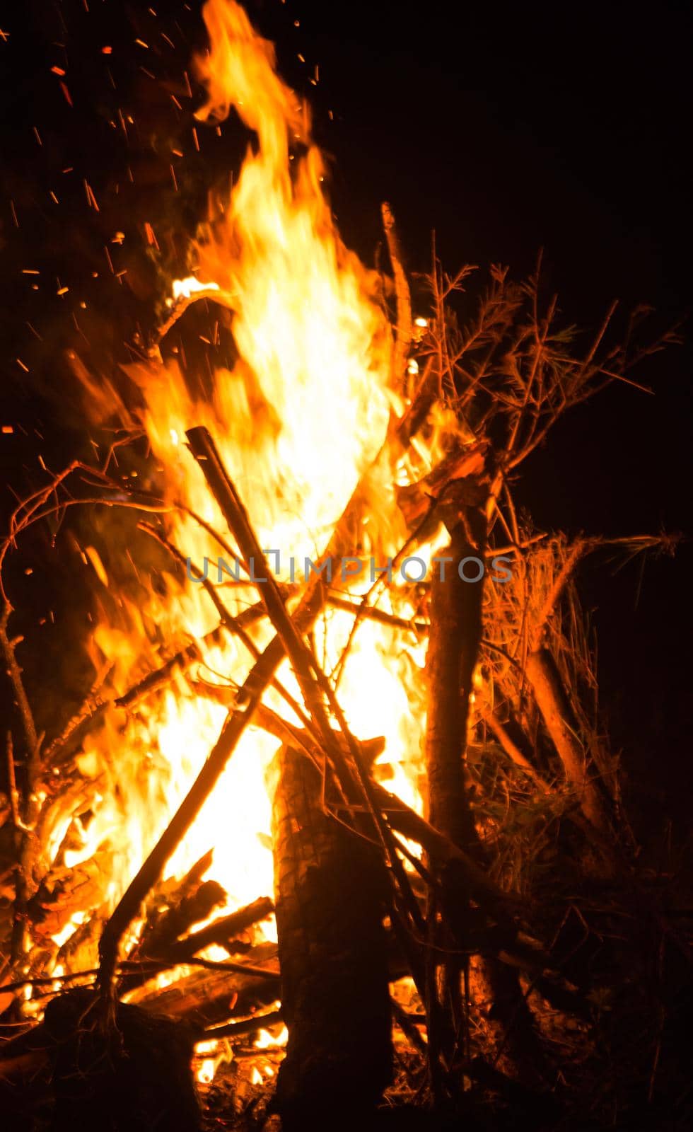 Firecamp at the night time. Hot fireplace full of wood and fire burning, closeup by codrinn