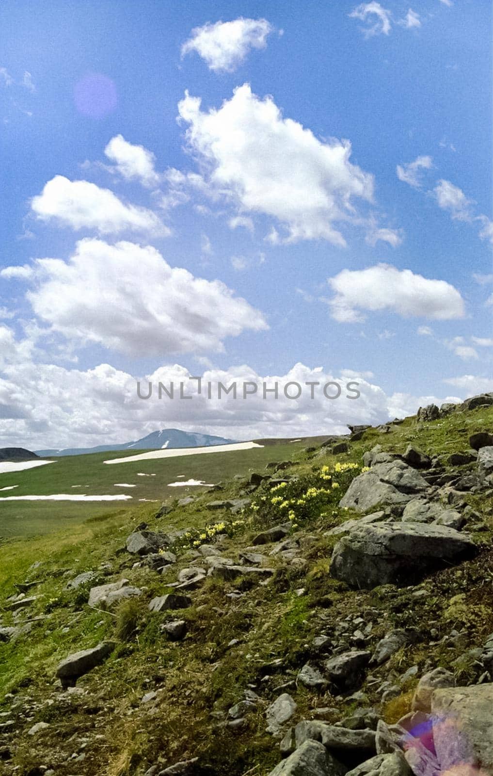 The mountains of the sayans. The nature of the mountains is sayan. Vegetation in the mountains