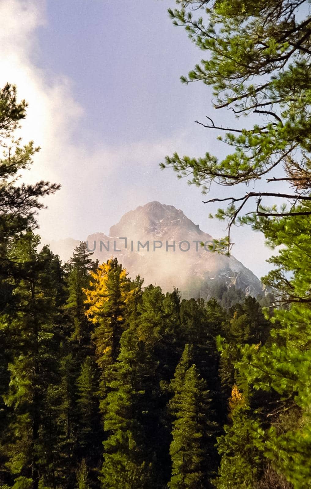 The mountains of the sayans. The nature of the mountains is sayan. Vegetation in the mountains