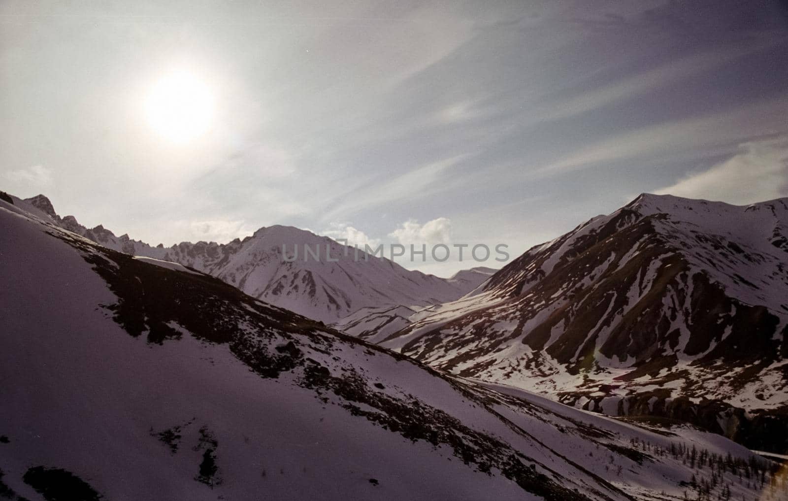 mountains of the sayans. The nature of the mountains is sayan. Vegetation in the mountains by DePo