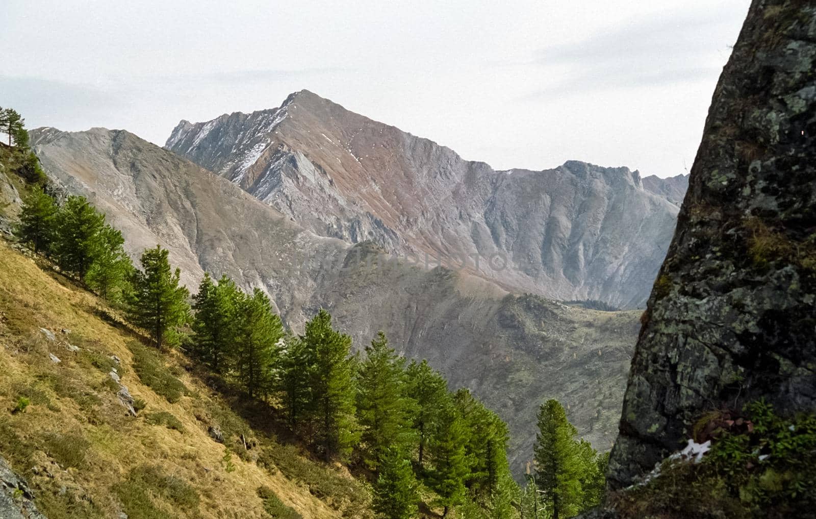 The mountains of the sayans. The nature of the mountains is sayan. Vegetation in the mountains