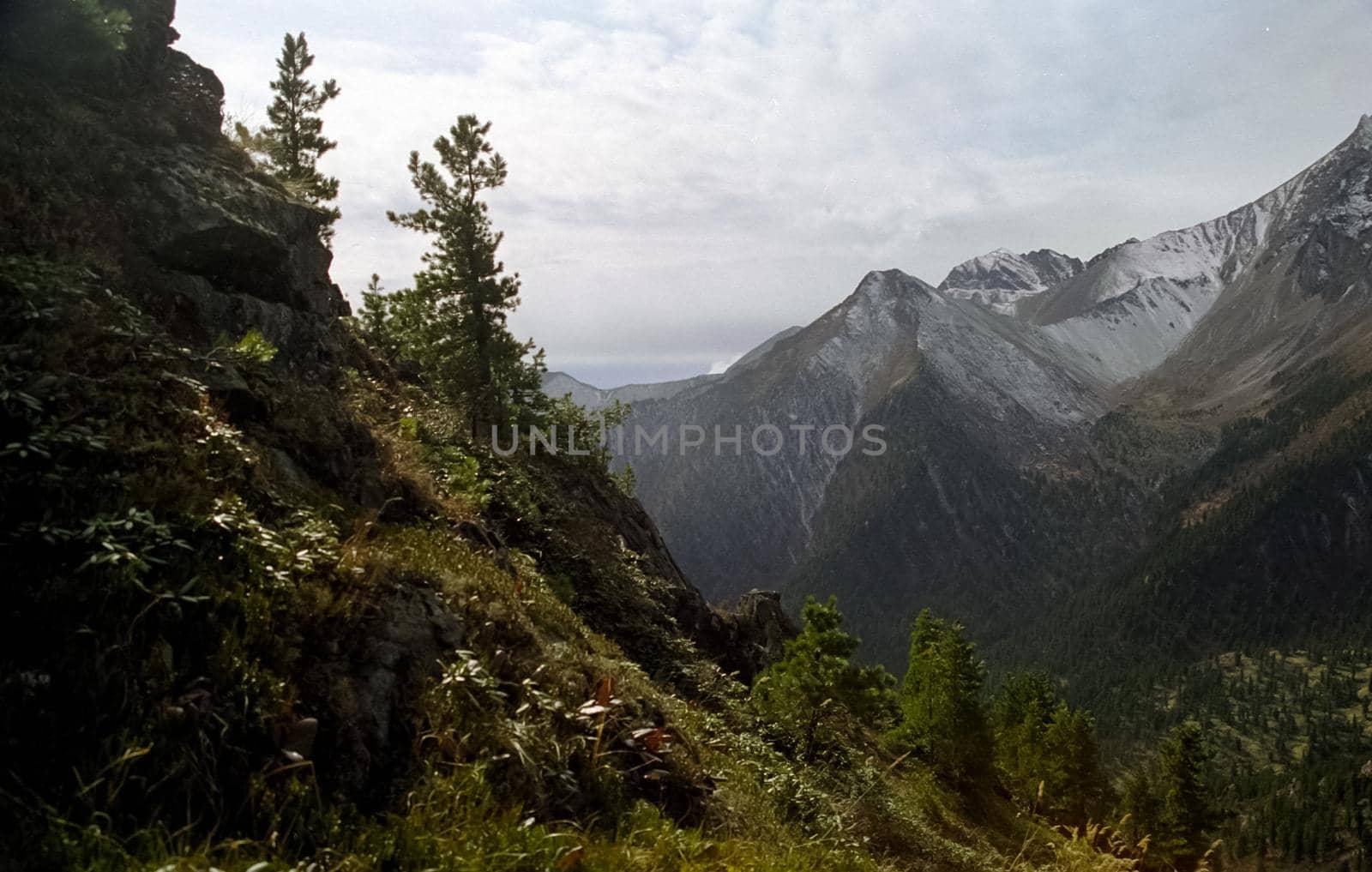 The mountains of the sayans. The nature of the mountains is sayan. Vegetation in the mountains