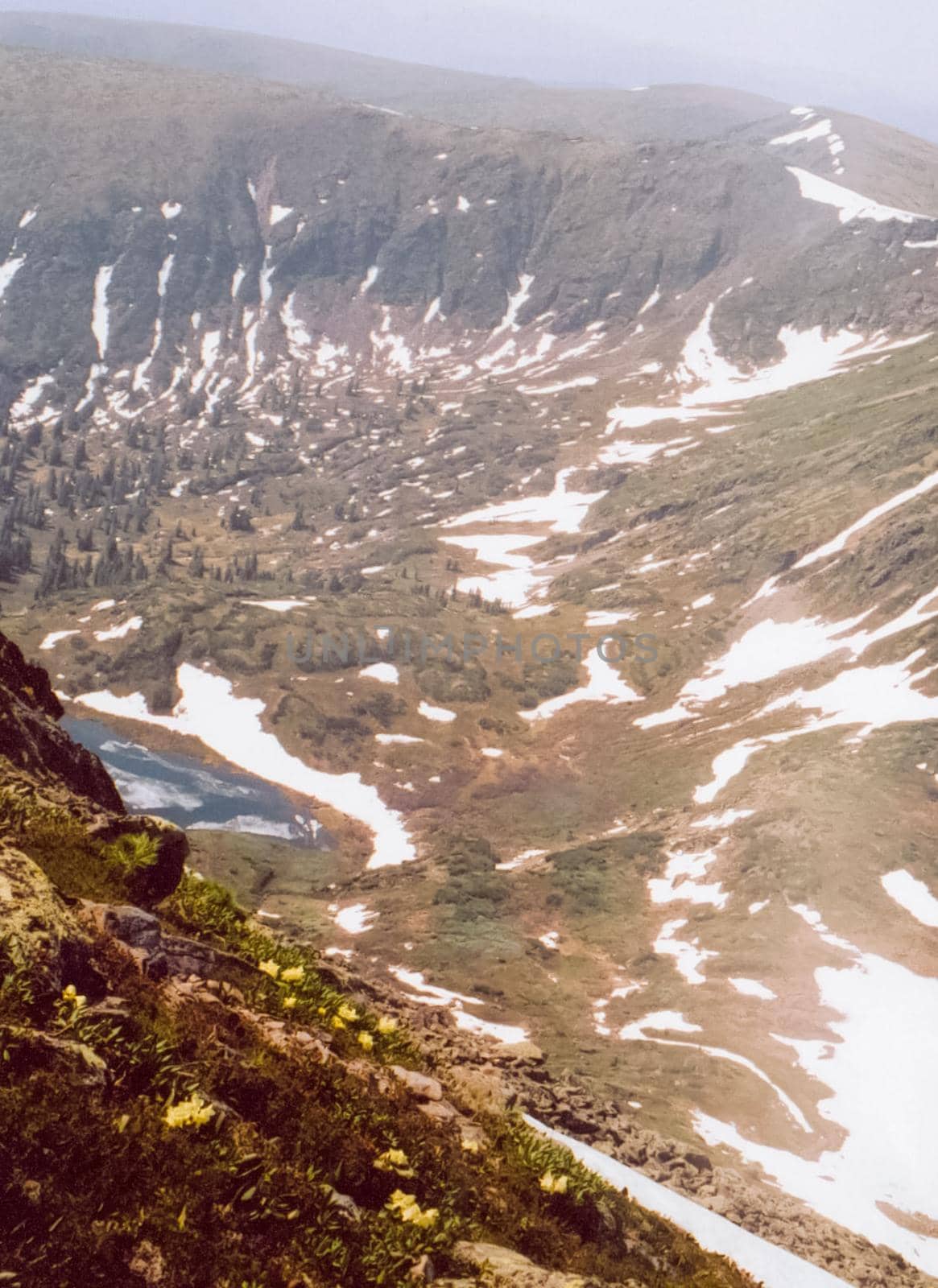 The mountains of the sayans. The nature of the mountains is sayan. Vegetation in the mountains