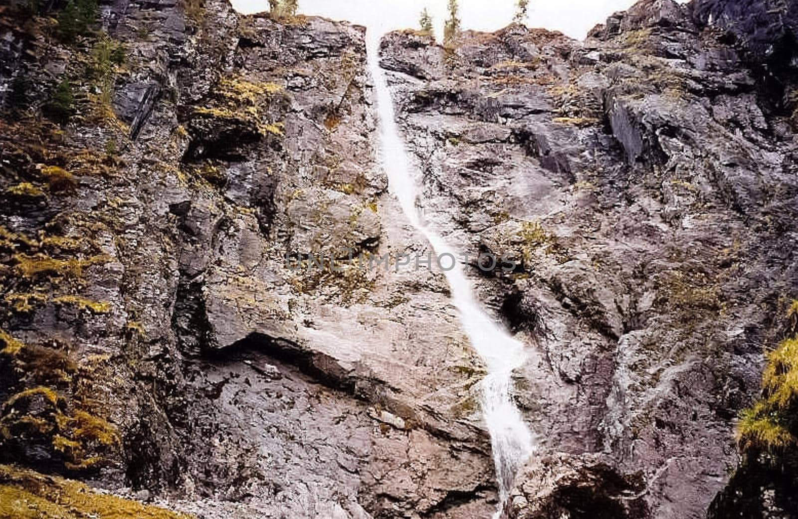 Nature in the mountains of Sayana. Russian taiga nature.