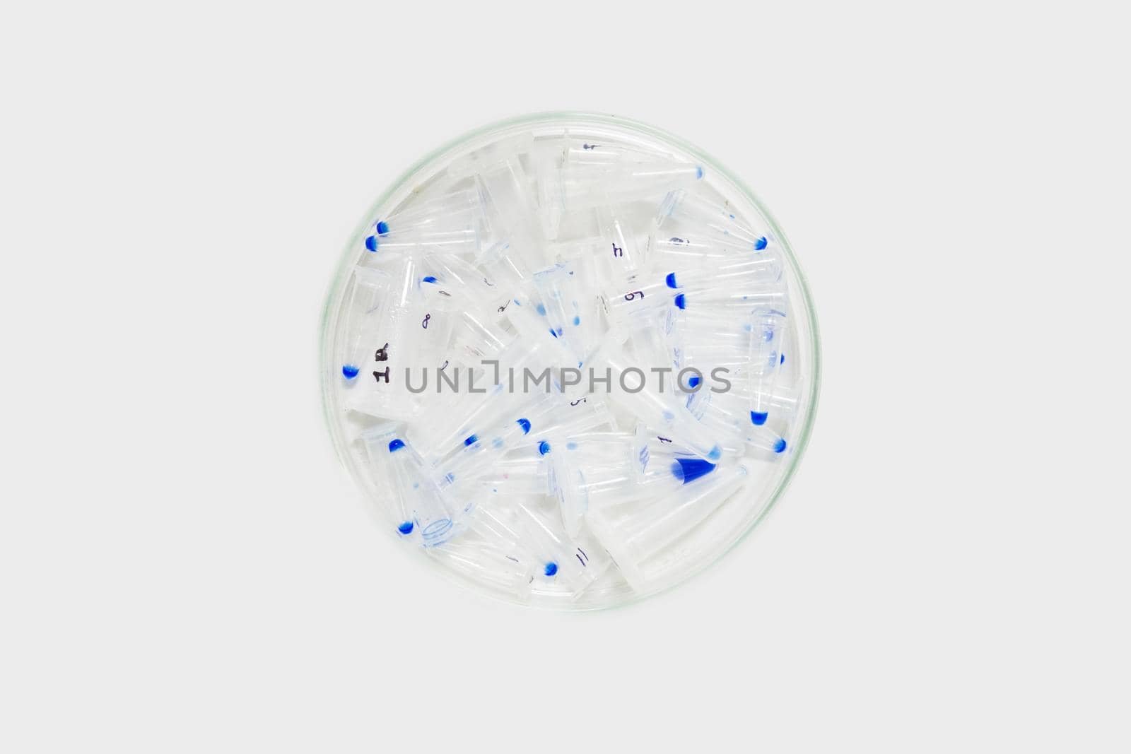 Petri dish with eppendorfami and DNA. Previously used DNA sample. A bowl of Petra on a white background.