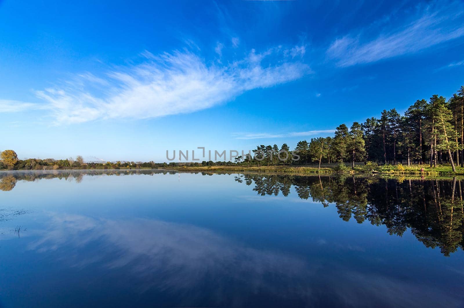 Beautiful blue sky over the lake and coniferous forest.