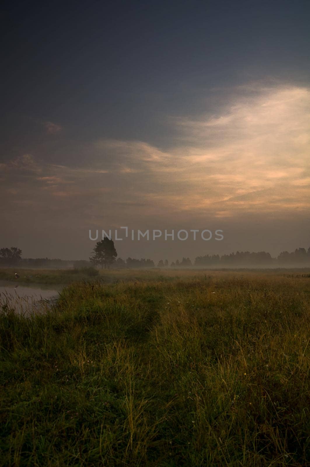 Dawn over the shore of the pond. Morning rays of the sun over the pond.