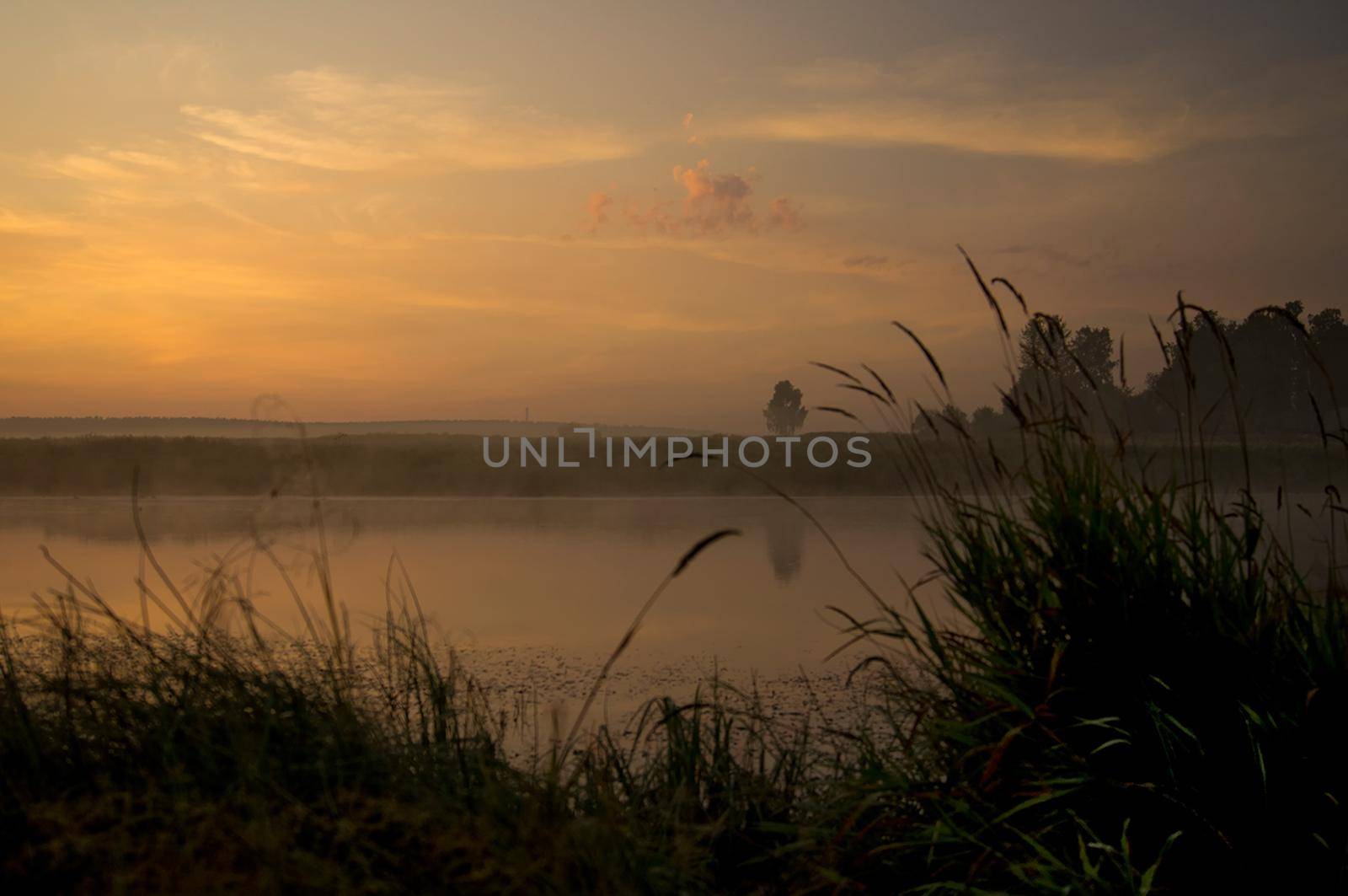 Lake at sunset, coastal grass and trees. light of the sunset above the water. by DePo