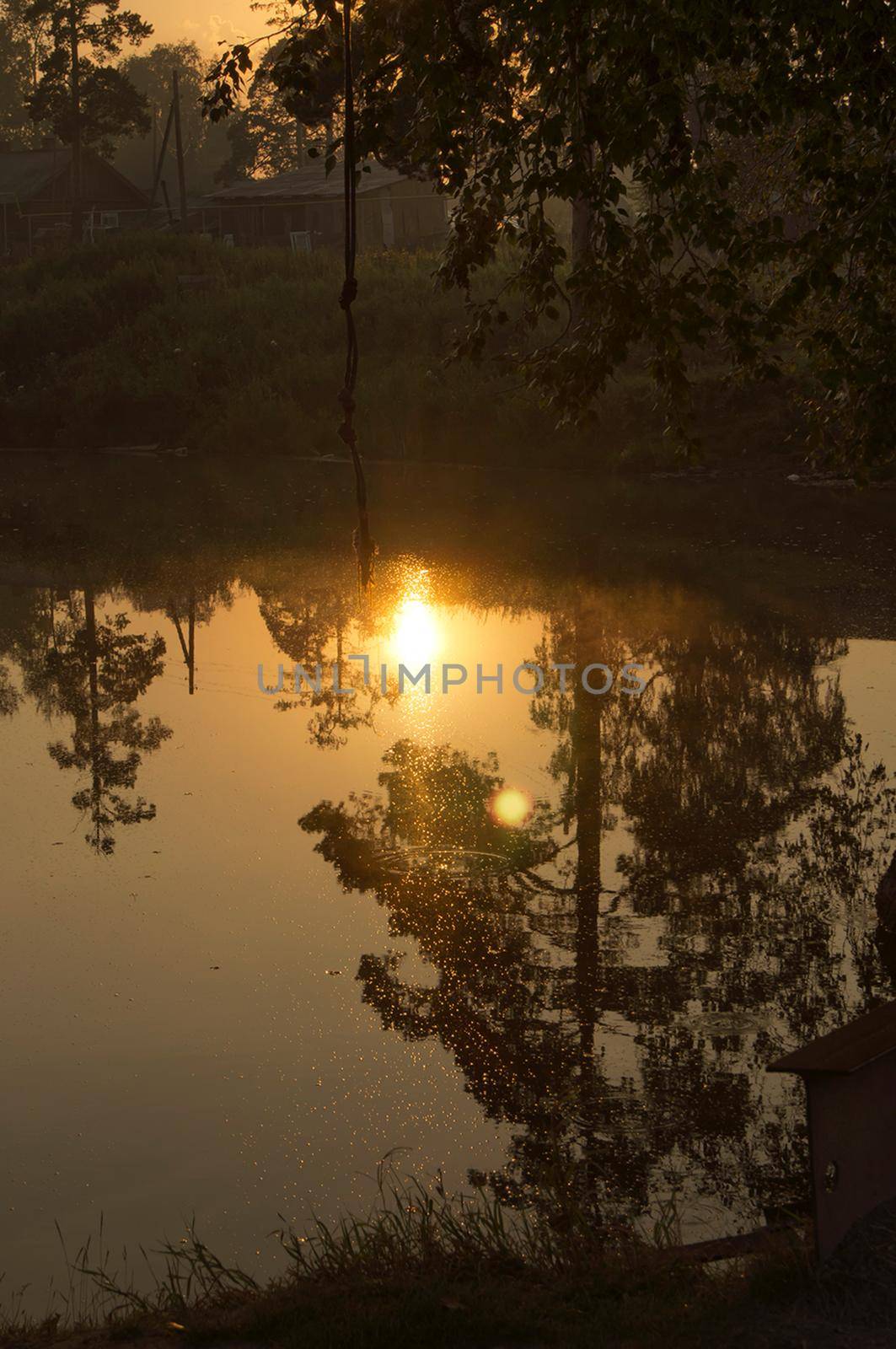 Lake at sunset, coastal grass and trees. light of the sunset above the water. by DePo