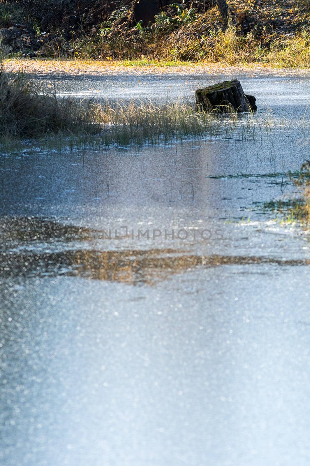 Lakes in autumn forest. Forest autumn landscape, beautiful nature. by DePo