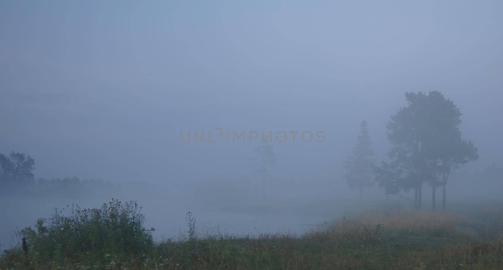 Smoke of mist over the pond. morning mist over the pond.