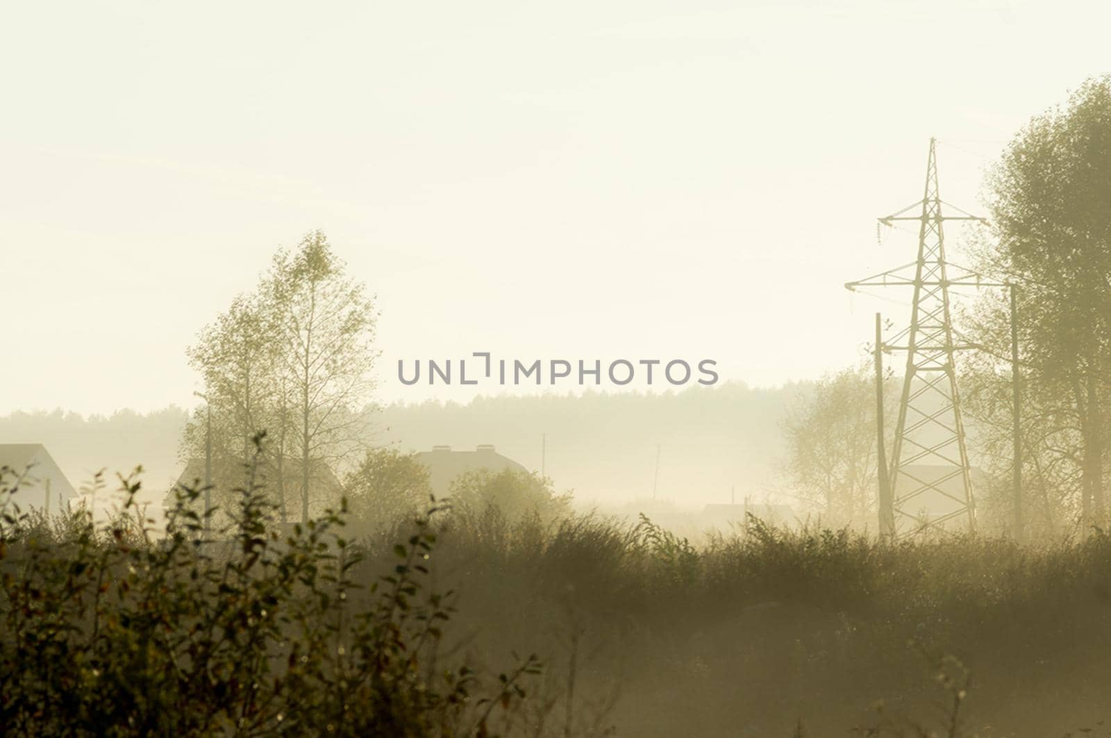 Sunset in the background of the road and fields with grass and trees.