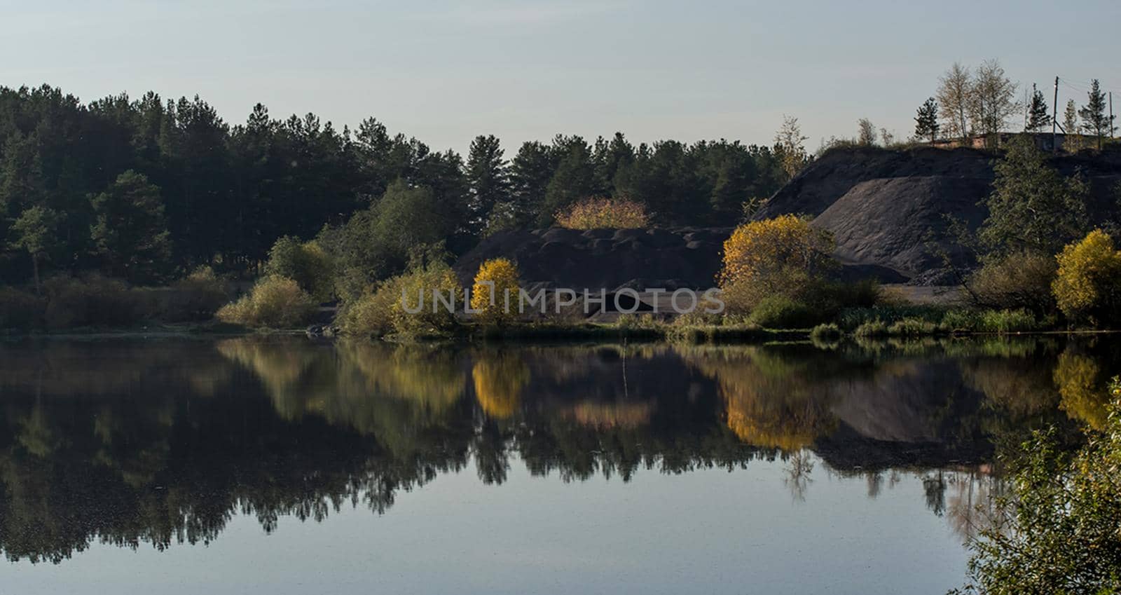 Water near forest. Reflecting trees in the water. by DePo