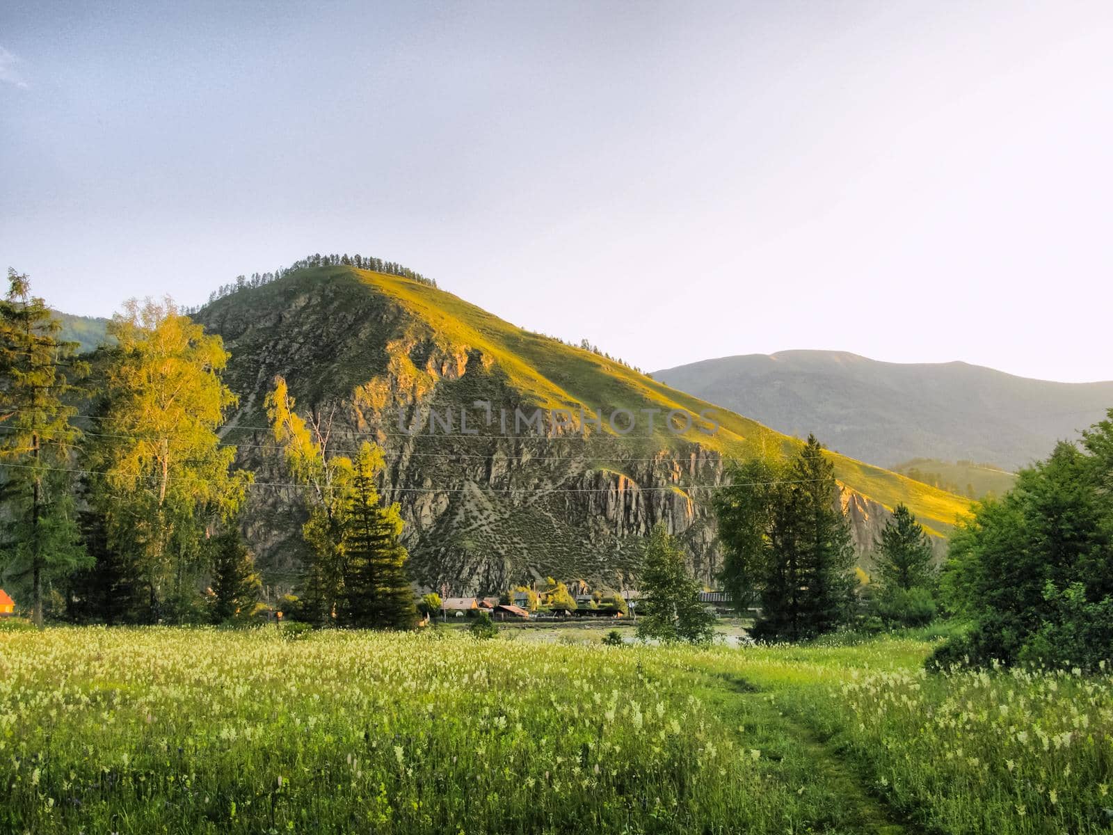 Nature is altai. Mountain landscape, forests and reservoirs of the altai.