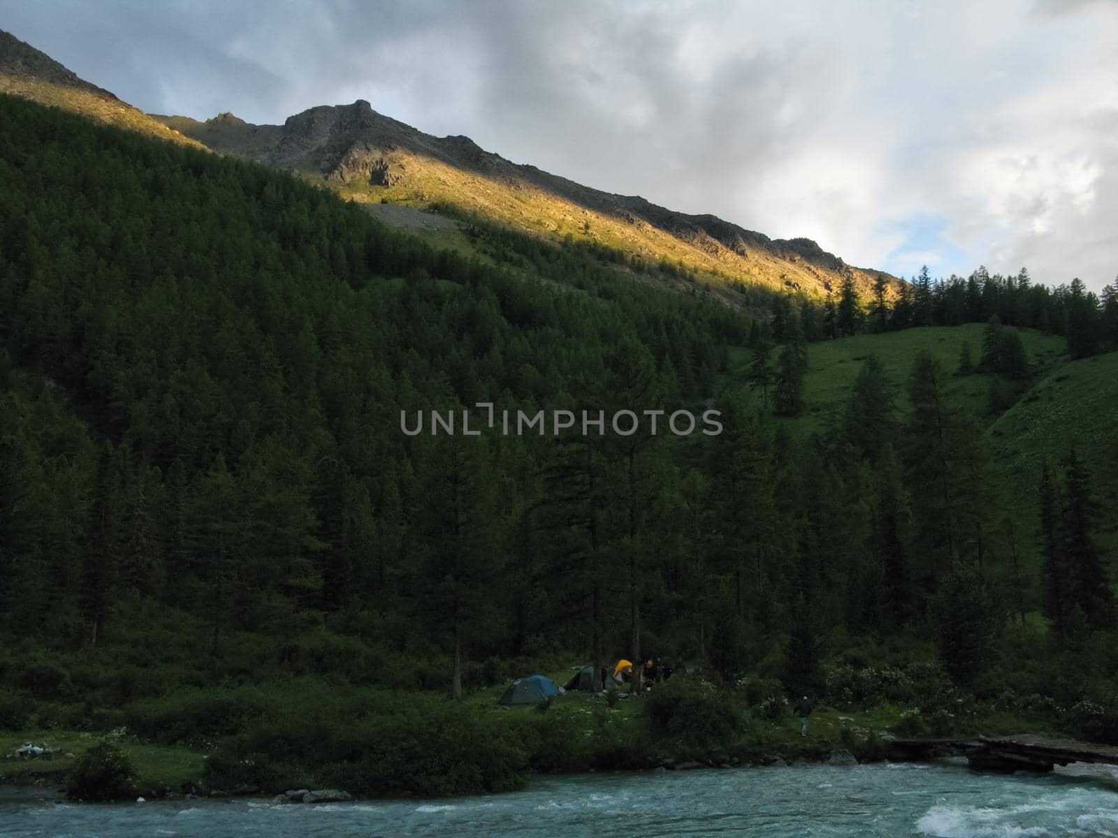 Nature is altai. Mountain landscape, forests and reservoirs of the altai.