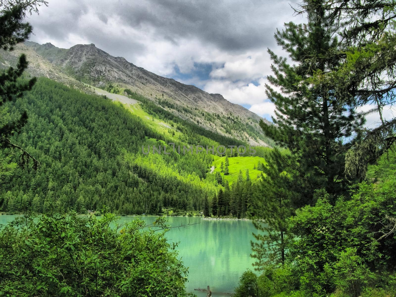 Nature is altai. Mountain landscape, forests and reservoirs of the altai.