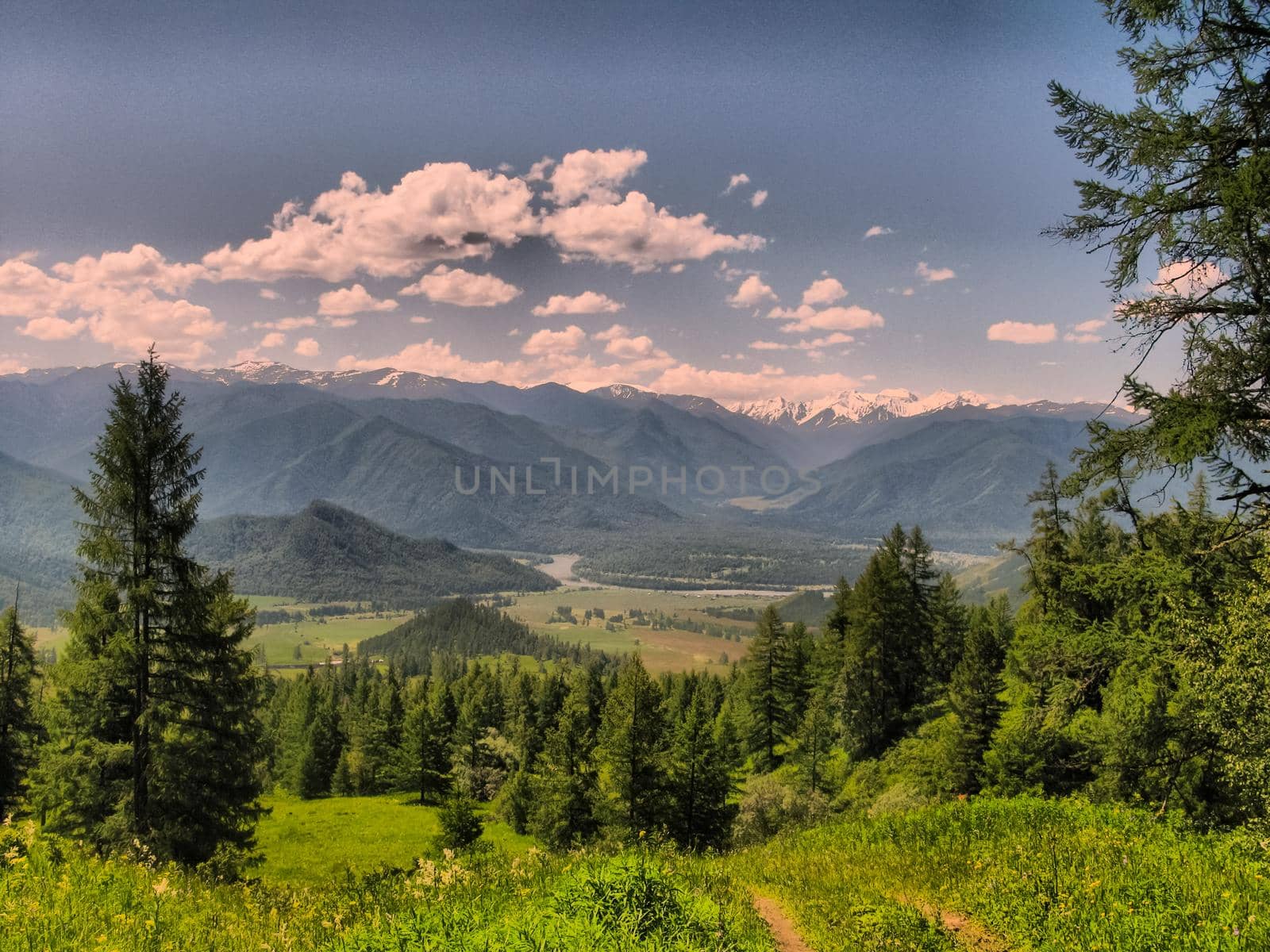Nature is altai. Mountain landscape, forests and reservoirs of the altai.