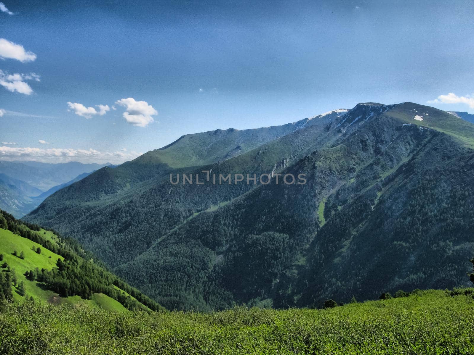 Nature is altai. Mountain landscape, forests and reservoirs of the altai.