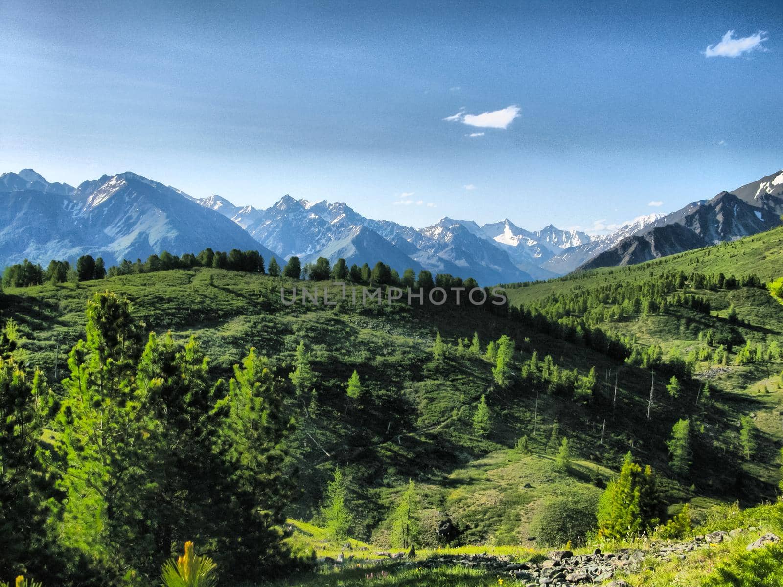 Nature is altai. Mountain landscape, forests and reservoirs of the altai.