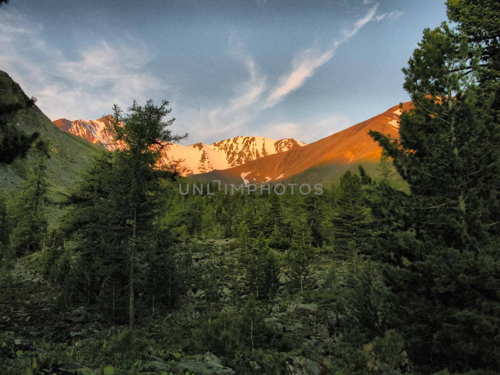 Nature is altai. Mountain landscape, forests and reservoirs of altai. by DePo