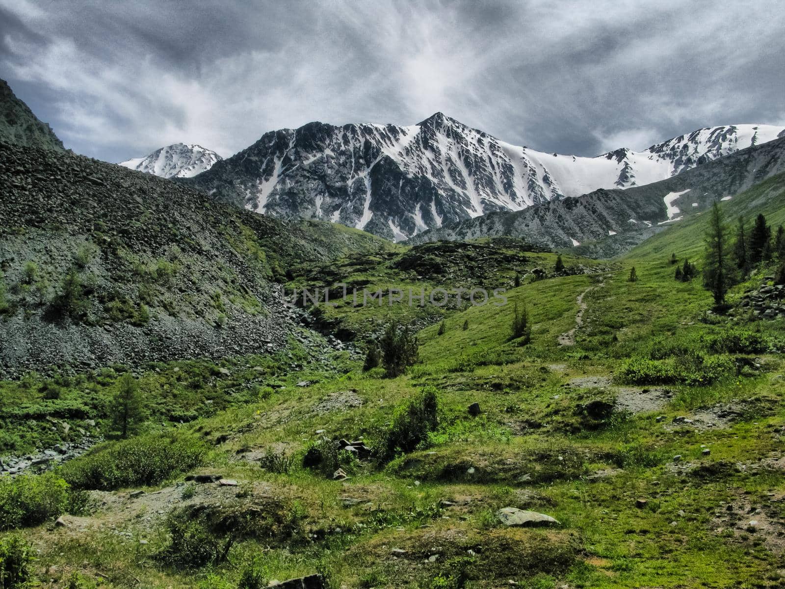 Nature is altai. Mountain landscape, forests and reservoirs of the altai.