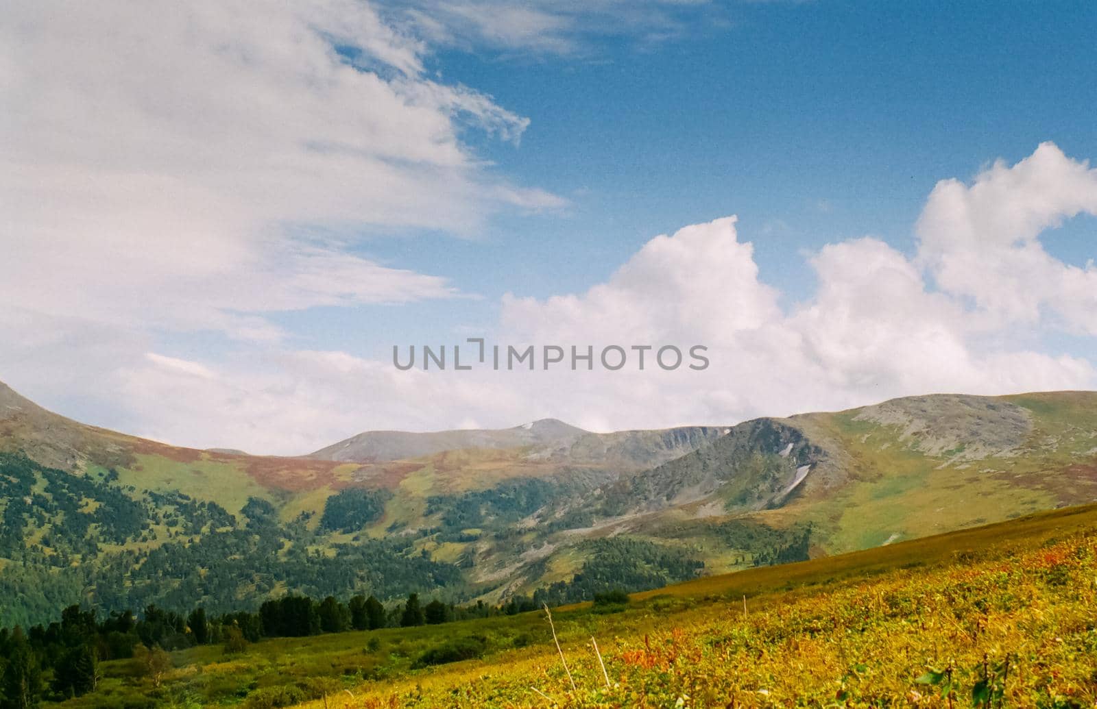 Autumn nature of the altai, forests and mountains.