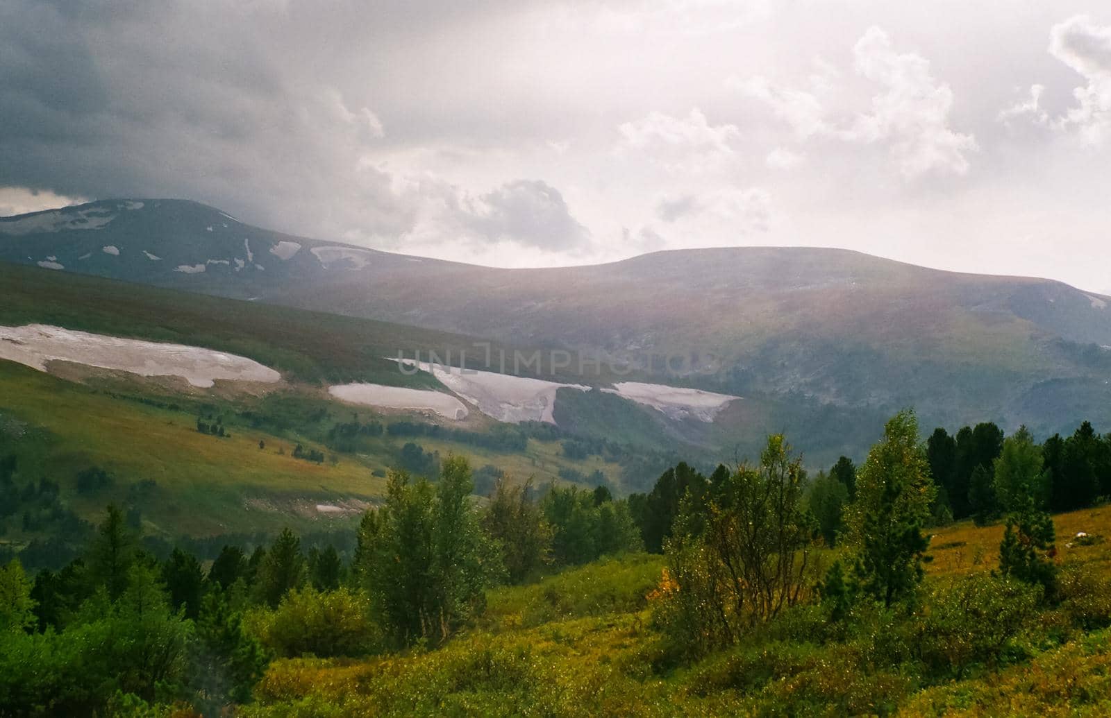 Autumn nature of the altai, forests and mountains.