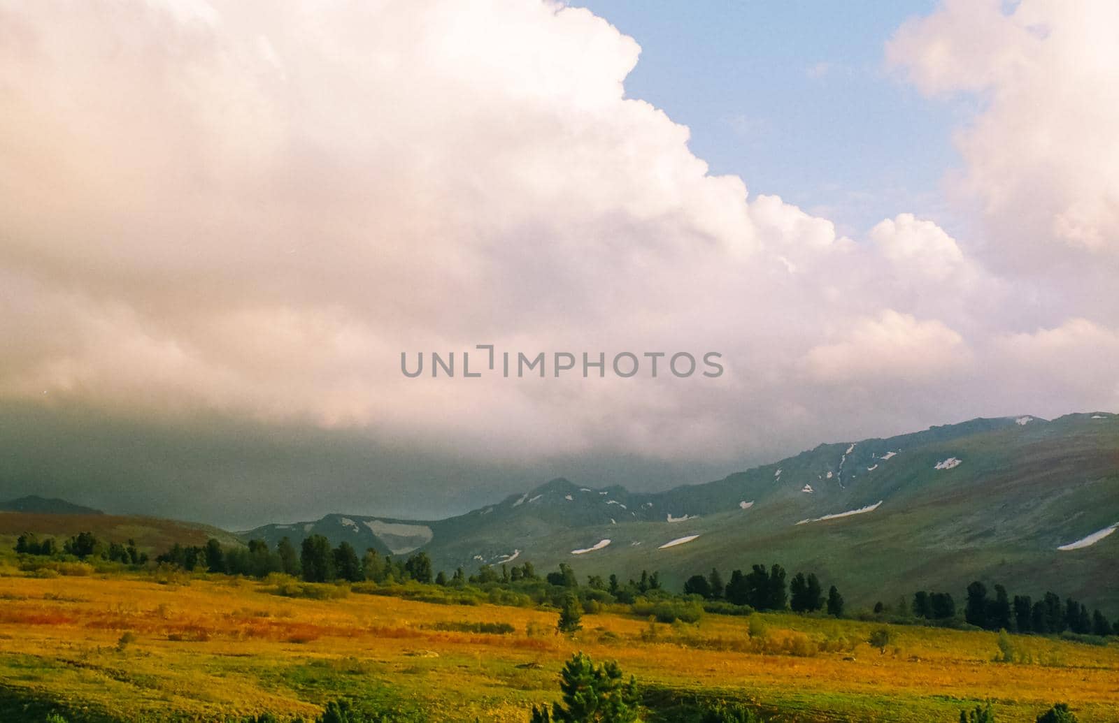 Autumn nature of the altai, forests and mountains.