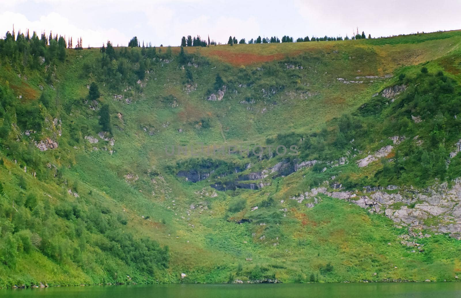 Landscape of the altai forests. Coniferous forests on the Altai.