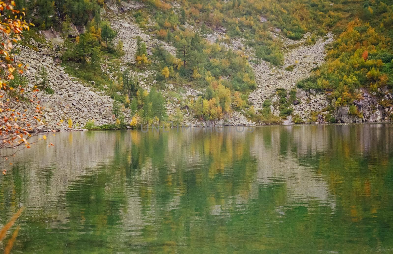 The river is among the mountains and forests of the Altai. Nature of the Altai