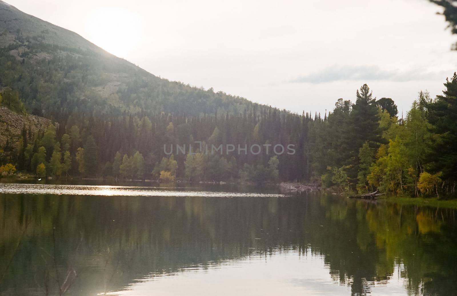 river is among the mountains and forests of the Altai. Nature of the Altai by DePo